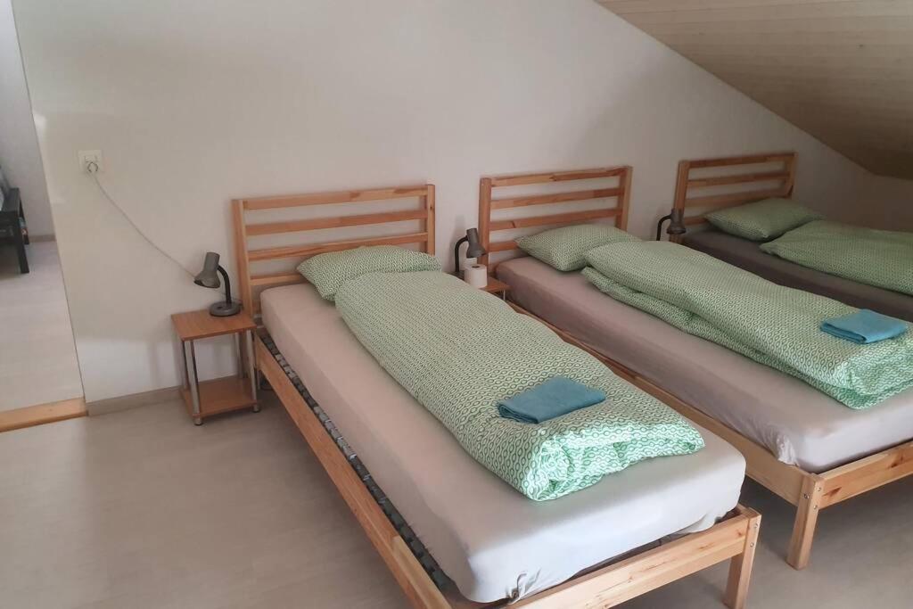 Classy Apartment Interlaken Bagian luar foto
